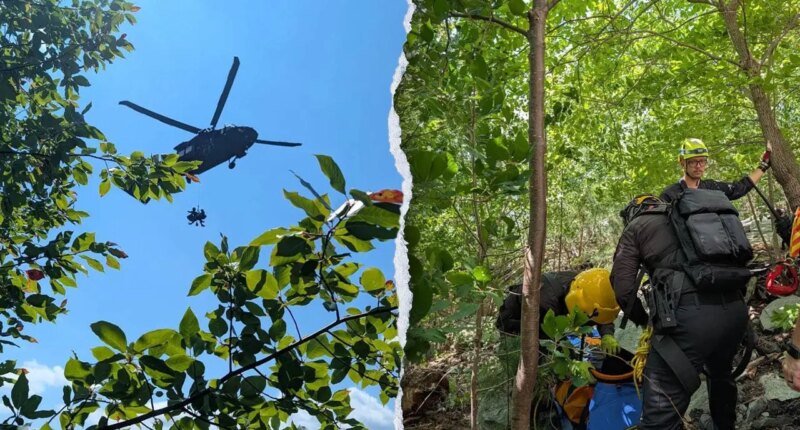 North Carolina climber airlifted after plunging 20 feet down gorge, sustaining serious injuries