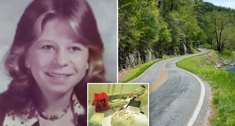 North Carolina human remains identified as Cindy Marcell Blizzard, 15, missing since 1977