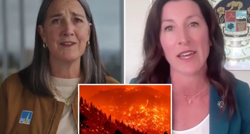 PG&E cuts $2 billion in planned spending over wildfire liability fight