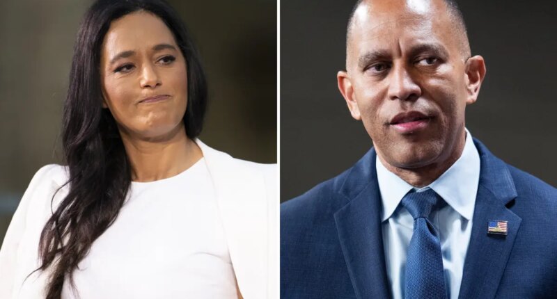 Palestinian journalist Rula Jebreal calls Hakeem Jeffries an ‘AIPAC monkey’  – claims she didn’t mean it in a ‘racist way’ 