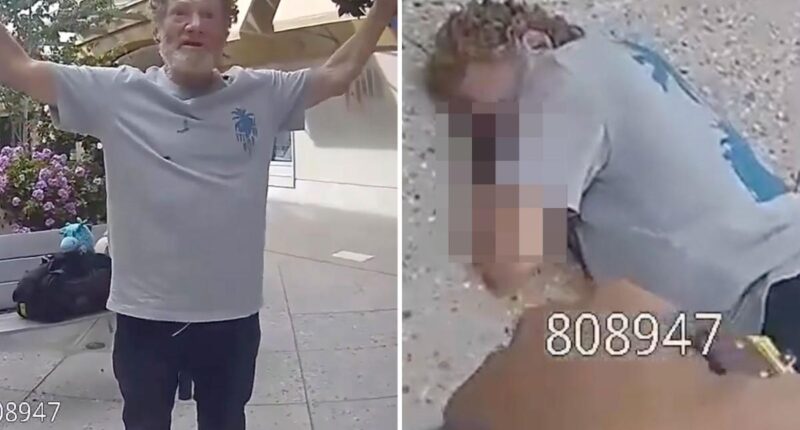 Palo Alto mall menace is zapped with Taser before face planting and breaking his neck