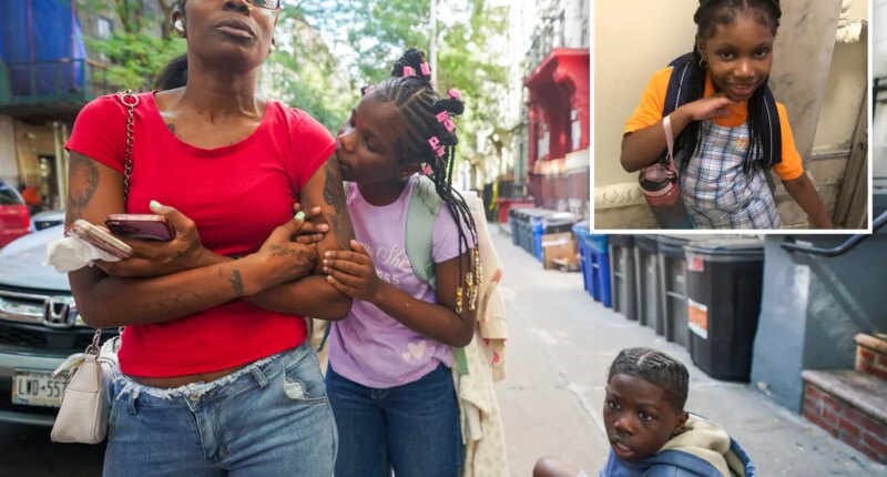 Person of interest surrenders in case of NYC mom beaten to death in front of daughter: lawyer