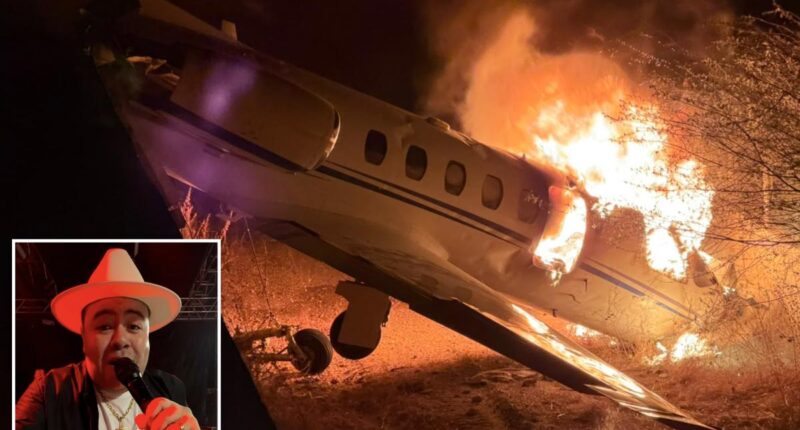 Plane carrying Brazilian singer Rey Vaqueiro crashes in flames: 'Unimaginable'