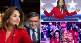 Pol behind the GOP's 'common sense vs. communist crazy' messaging strategy revealed to be Lisa McClain