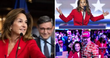 Pol behind the GOP's 'common sense vs. communist crazy' messaging strategy revealed to be Lisa McClain