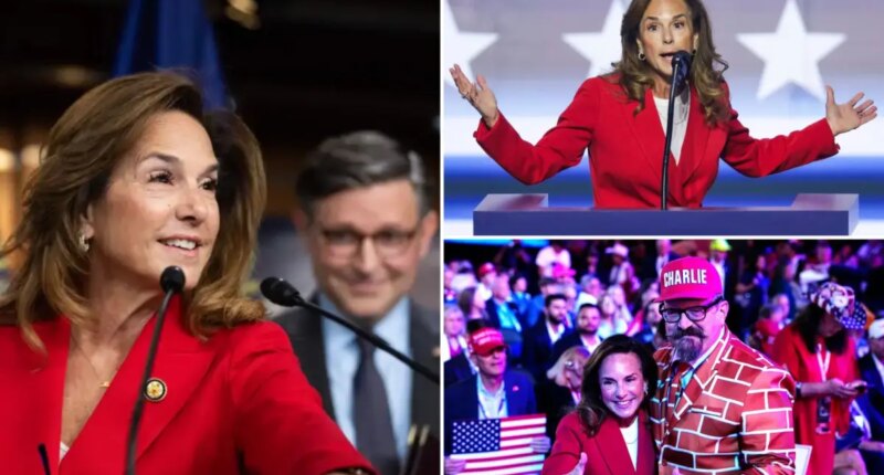 Pol behind the GOP's 'common sense vs. communist crazy' messaging strategy revealed to be Lisa McClain