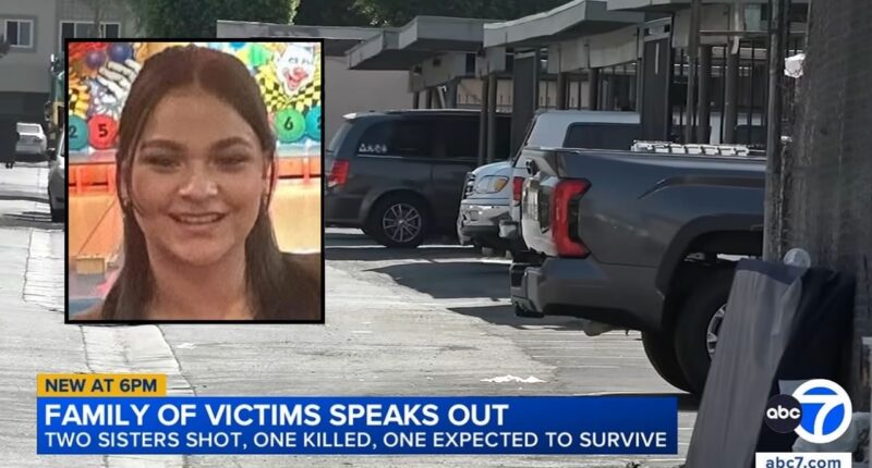 Inset: Adriana Jimenez (GoFundMe). Background: The area in the Los Angeles neighborhood of Canoga Park, Calif., where Adriana Jimenez was shot in the head while sitting in a car with her sister (KABC/YouTube).