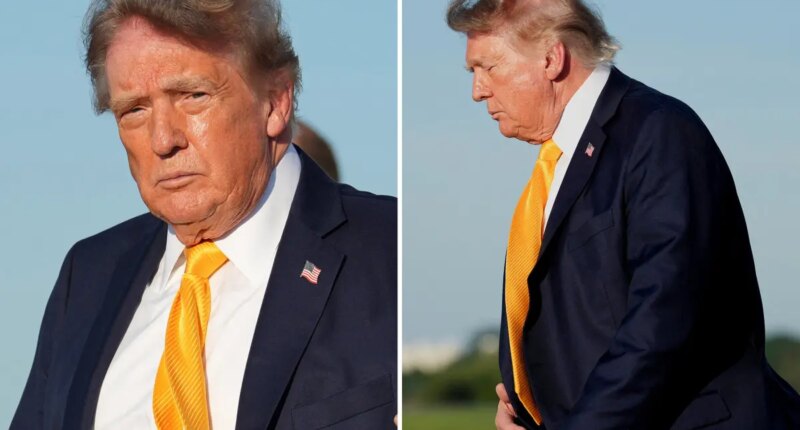 President Trump debuts new brown hairdo — and people are shocked