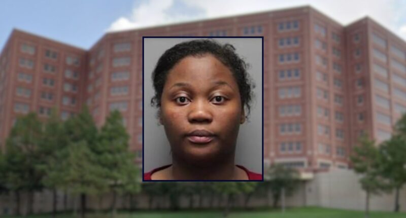 Brianna Berry appears inset against a jail in Houston.