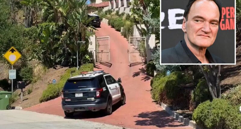 Quentin Tarantino’s luxe Hollywood Hills mansion targeted by burglar