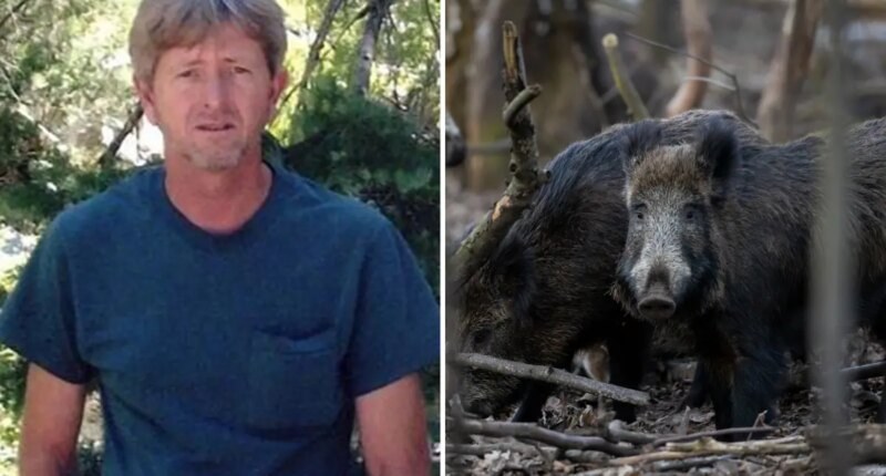 Recently retired Oklahoma man, 63, dies after colliding with pack of wild hogs