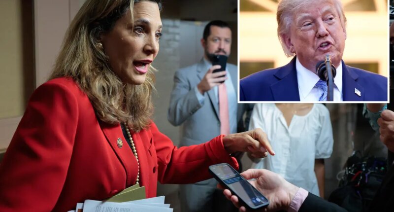 Rep. Maria Elvira Salazar warns Trump's standing with Hispanics is slipping, faults advisers