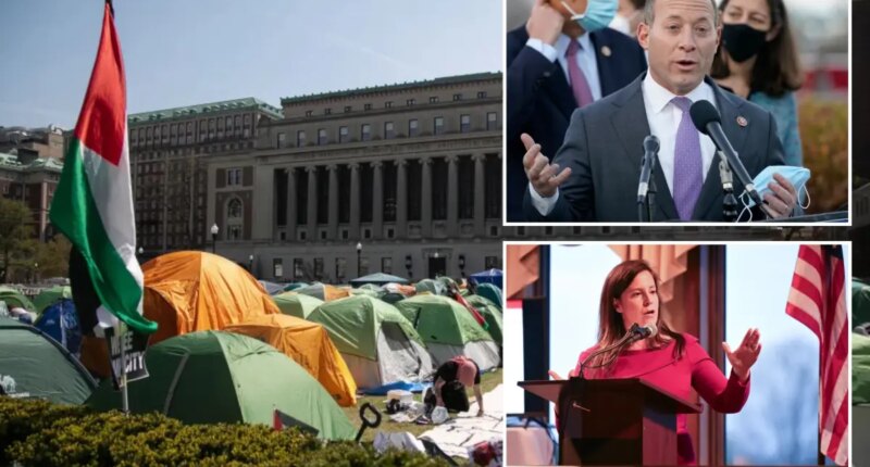 Reps. Elise Stefanik, Josh Gottheimer launch bipartisan congressional caucus to confront campus antisemitism