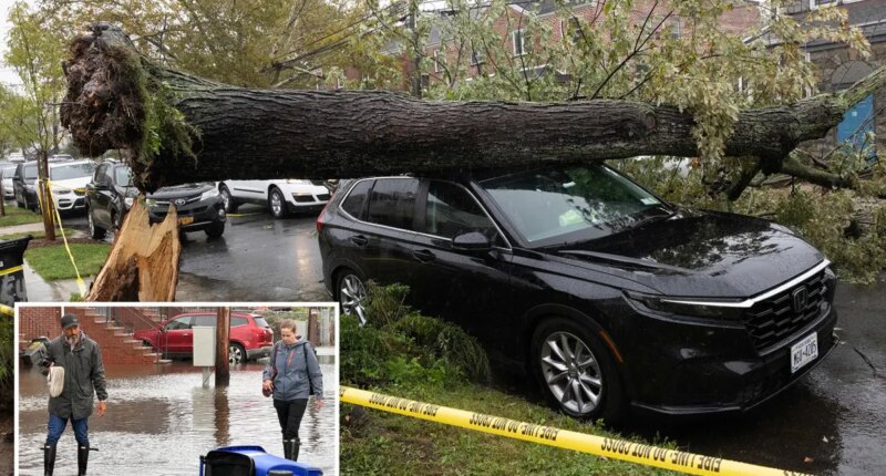 Round 2 of NYC's nor'easter leaves surreal scenes