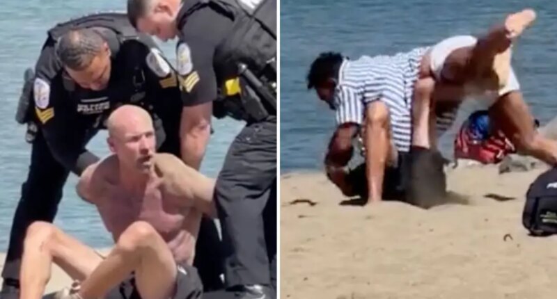 SF man walking dog caught in violent Crissy Field beach brawl