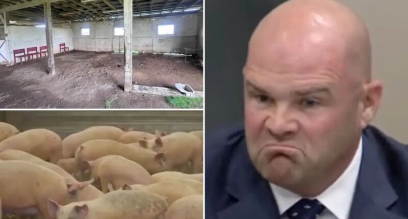 Sacramento County slaughterhouse ‘kill floor’ moves forward despite neighbor backlash