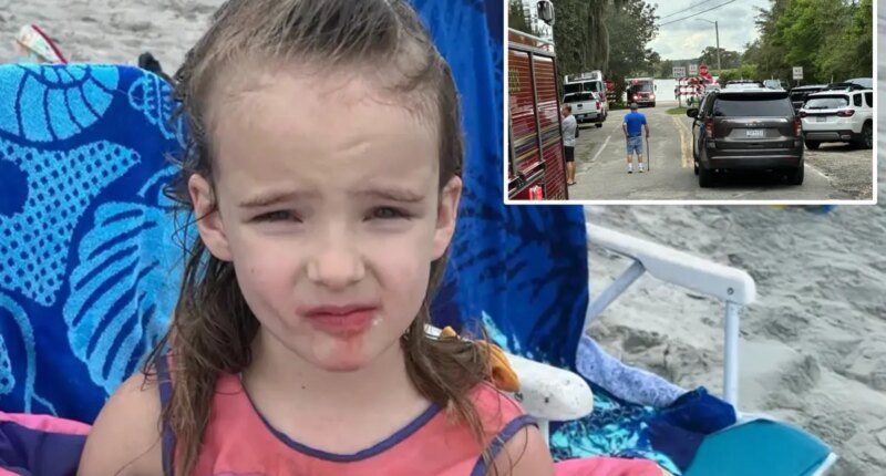 Saylor Hayes, 5, found dead in South Carolina waterway after wandering from family’s vacation rental home 