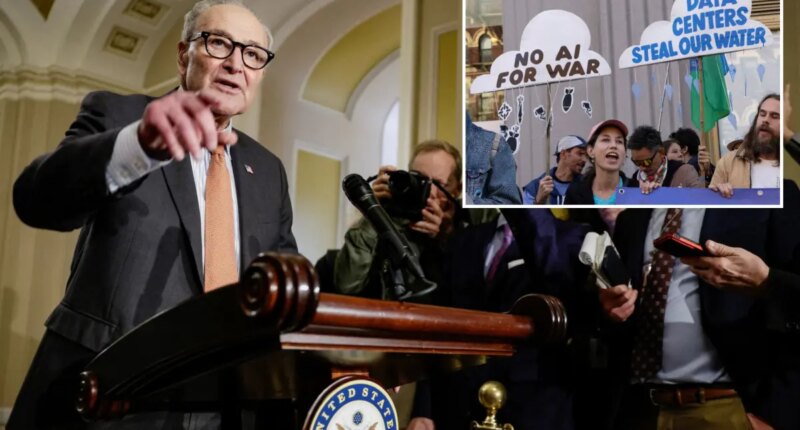 Schumer, Senate Democrats block bill to address AI data center costs