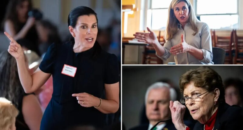 Sen. Jeanne Shaheen's daughter Stefany wins nasty primary for New Hampshire House seat