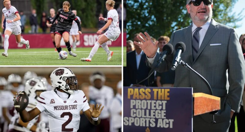 Senate passes sweeping college sports reforms bill, giving athletes more protections