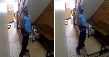 Shocking video shows Amazon delivery driver peeing all over posh NYC apartment lobby