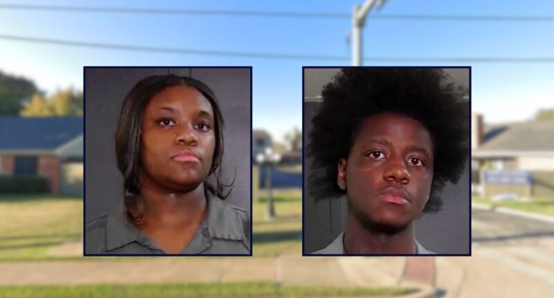 Siblings arrested after violent fight over grapes: Police