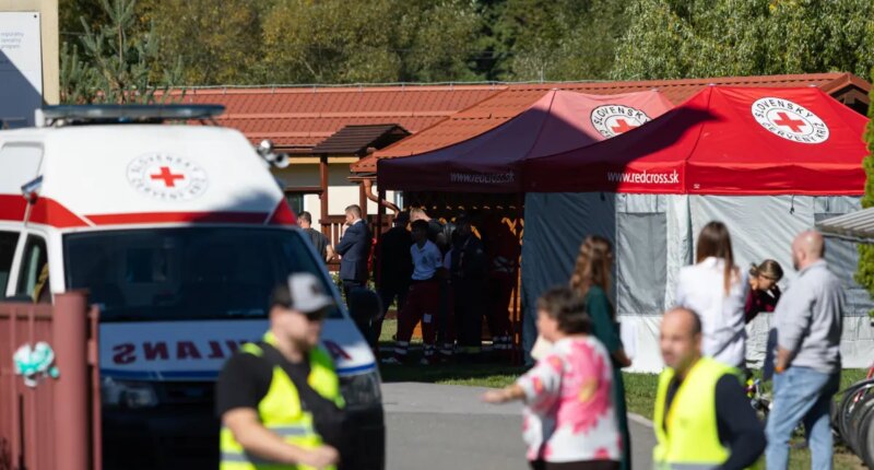 Slovakia elementary school student fatally stabs teacher, injures at least two others