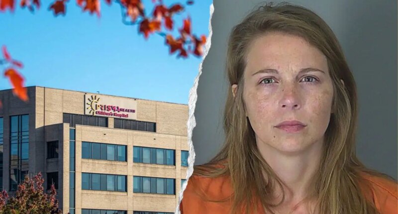South Carolina mom accused of knife attack on young children as 6-year-old may lose arm: sheriff's office