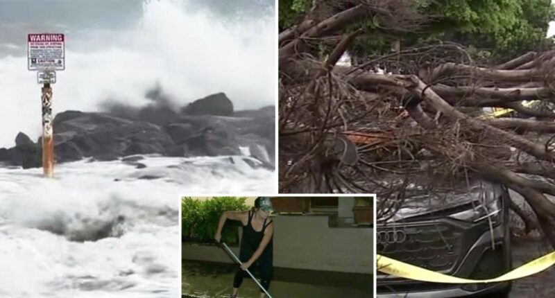 Southern California sees huge waves, storm damage from Hurricane Marie