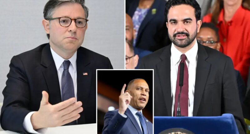Speaker Johnson dubs Mamdani, far-left pals most 'dangerous' politicians in US, predicts 'nightmare' for Hakeem Jeffries