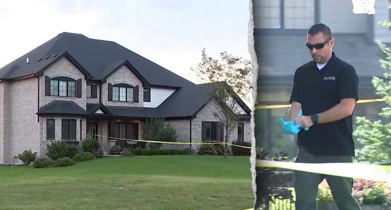 Suburban Illinois boy dies in suspected domestic homicide as neighbors fear another Lindsay Clancy case