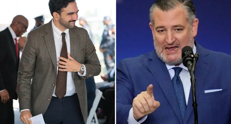 Ted Cruz names Mamdani ‘most powerful Democrat in the country’ as he warns of socialist rise