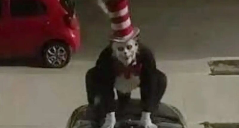 Terrifying 'Cat in the Hat' trend targets California school kids