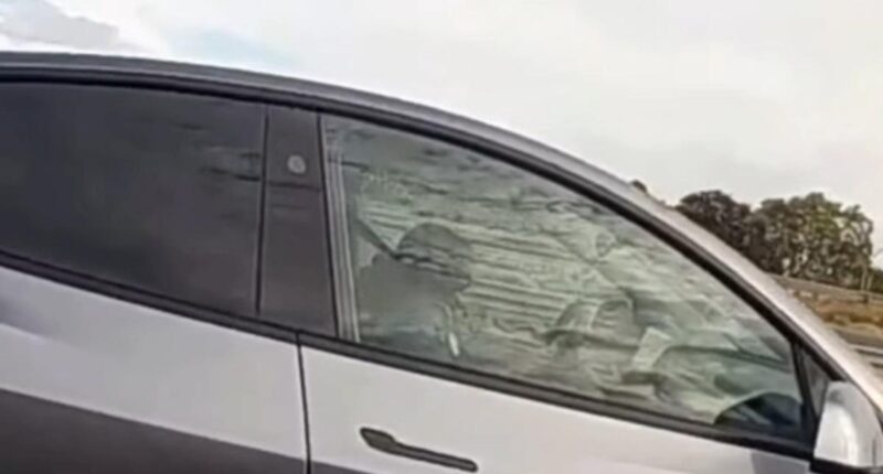 Tesla driver caught allegedly sleeping behind wheel at 60 mph on California highway