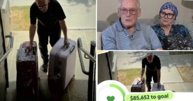 Texas delivery driver Donald Johnson's viral $700K fundraiser taken down after organizer revealed to be his daughter