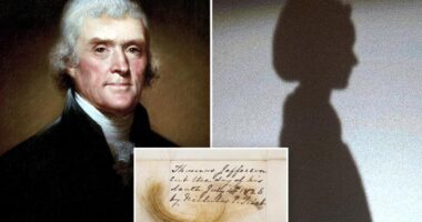 Thomas Jefferson DNA test 'proof' he fathered kids with slave