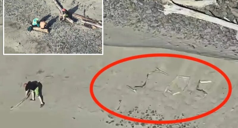 Tourists stranded on Oregon beach after trying to snap 'dramatic' photo