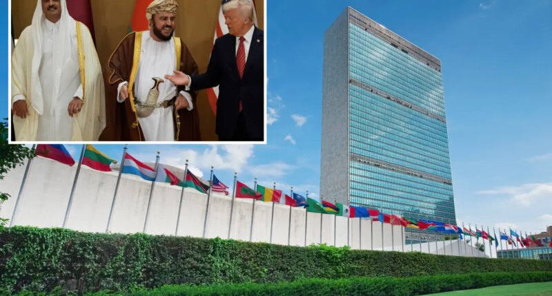 Trump expected to hold Iran talks with Gulf leaders during UN General Assembly: report 
