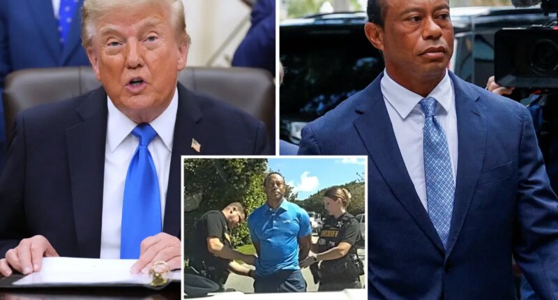 Trump praises Tiger Woods' 'very fair' plea deal