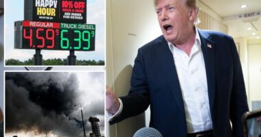 Trump says Ukraine, Russia agree to stop energy strikes as US diesel prices soar past $6