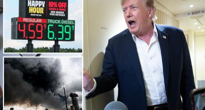 Trump says Ukraine, Russia agree to stop energy strikes as US diesel prices soar past $6