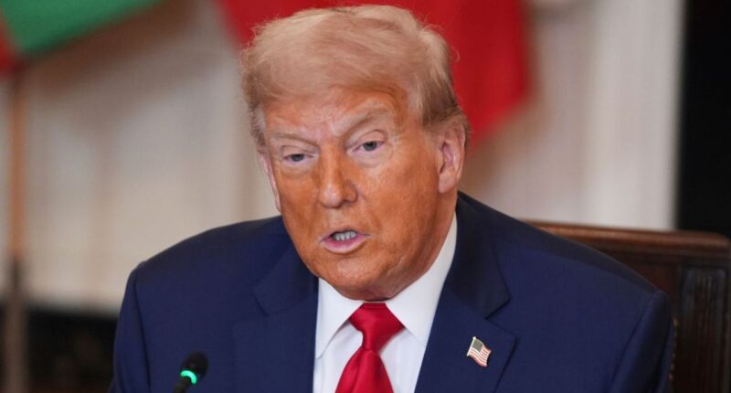 Donald Trump speaks with African leaders.