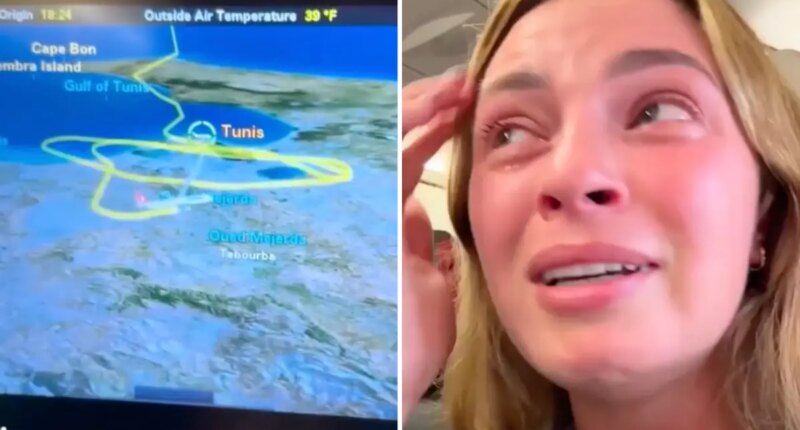 Turkish Airlines flight 'started to plummet' after trying to land during storm