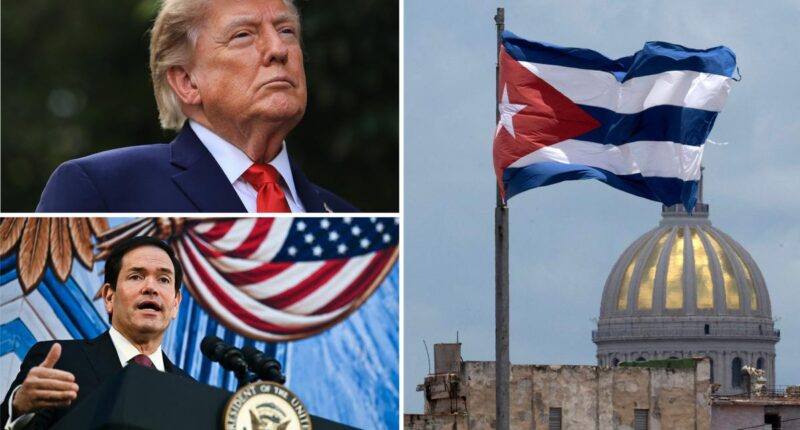US Army Reserve asks whether units can be ready in as little as 3 months for Cuba action: report