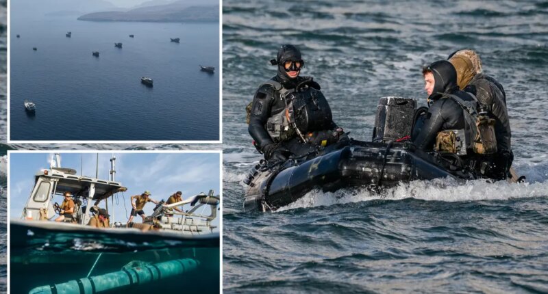 US Navy SEALS spent four months demining the Strait of Hormuz in dangerous, nighttime mission