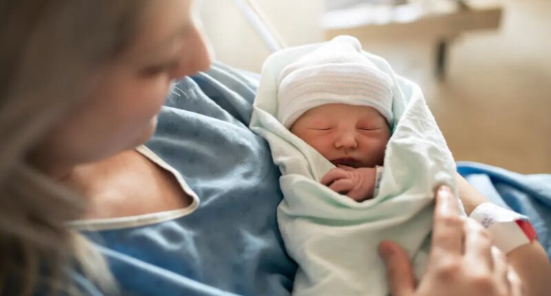 US fertility rate plummets by a quarter in less than 20 years — and 25% of births are now to immigrant women