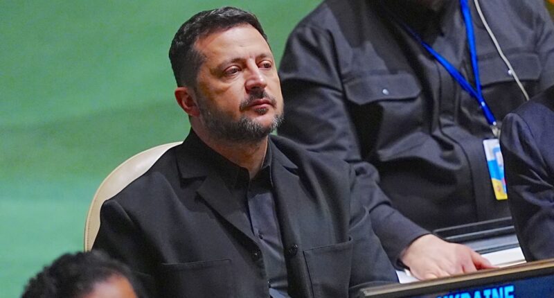 Ukraine war: Zelenskyy calls for trilateral meeting with Putin, Trump