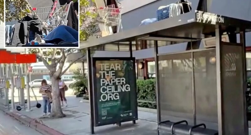 Unusual homeless encampment found atop Brentwood bus shelter