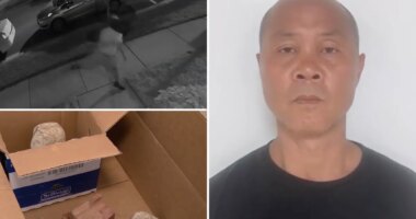 Vandal behind bars allegedly terrorizing suburban Maryland neighborhoods thousands damage
