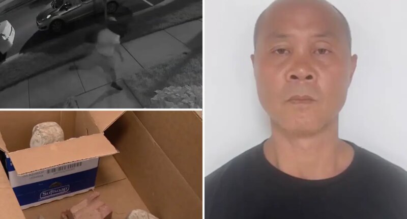 Vandal behind bars allegedly terrorizing suburban Maryland neighborhoods thousands damage